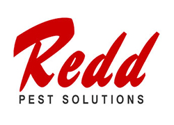 redd pest solutions