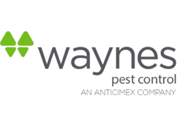 waynes pest control